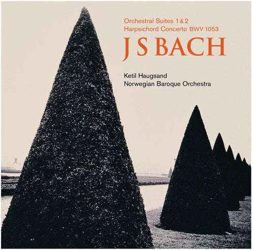 Bach/ Haugsand/ Norwegian Baroque Orchestra - Norwegian Baroque Orchestra Plays Bach