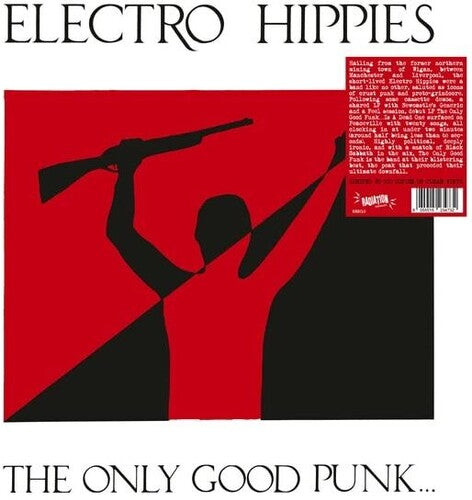 Electro Hippies - The Only Good Punk Is A Dead One