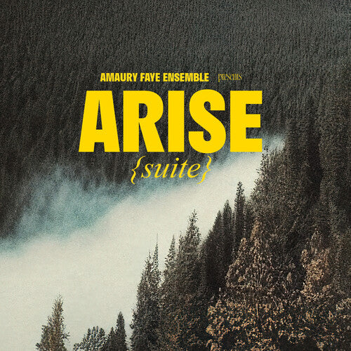 Amaury Faye Ensemble - Arise (suite)