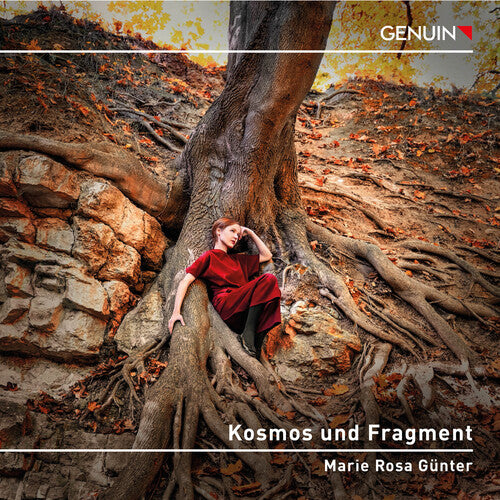 Kallmeyer/ Webern/ Beethoven - Kosmos Und Fragment