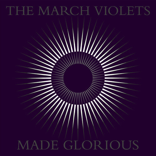 March Violets - Made Glorious