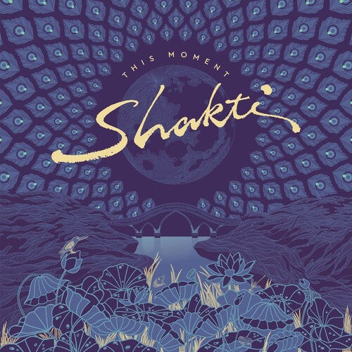 Shakti - This Moment