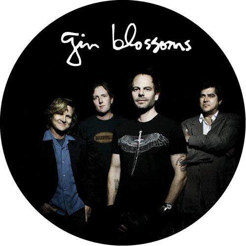 Gin Blossoms - Live In Concert