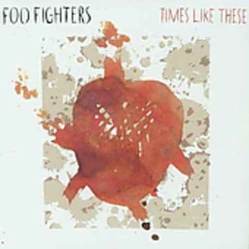 Foo Fighters - Times Like These