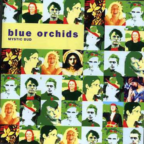 Blue Orchids - Mystic Bud