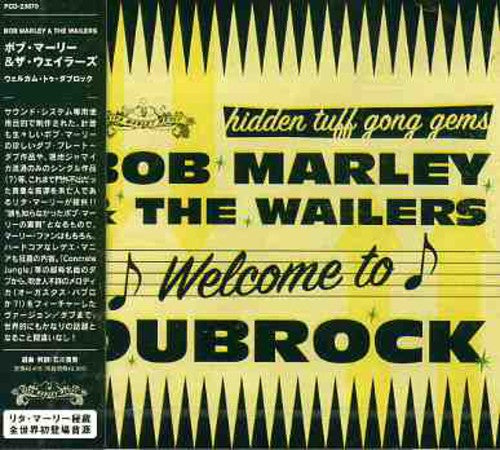 Bob Marley - Welcome to Dub Rock