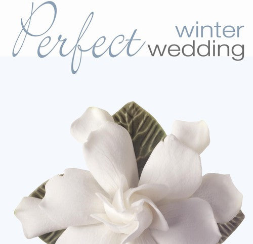 Various - Perfect Wedding: Winter / Various