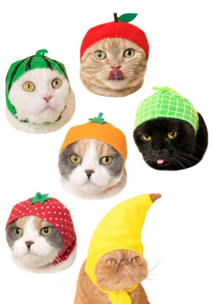 Fruit Cat Cap Surprise Box (1 random)