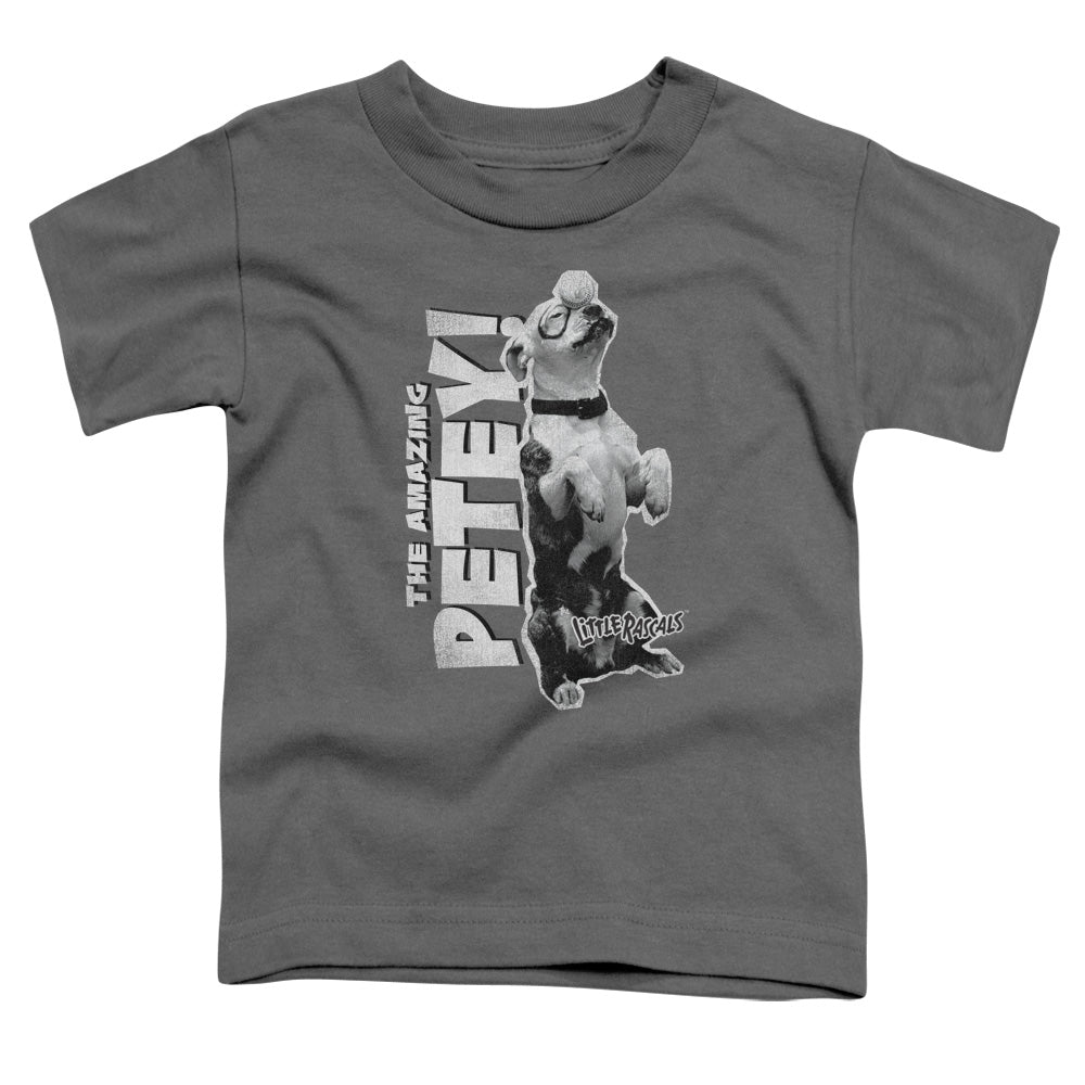 Little Rascals - Amazing Petey - Short Sleeve Toddler Tee - Charcoal T-shirt