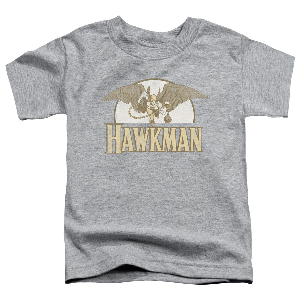 Dc - Fly By - Short Sleeve Toddler Tee - Athletic Heather T-shirt