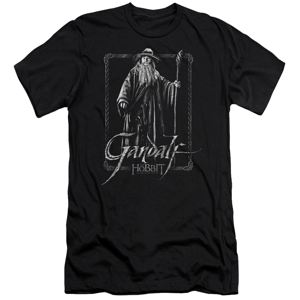 The Hobbit - Gandalf Stare - Short Sleeve Adult 30/1 - Black T-shirt