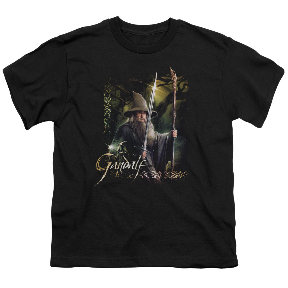 Hobbit - Sword And Staff - Short Sleeve Youth 18/1 - Black T-shirt