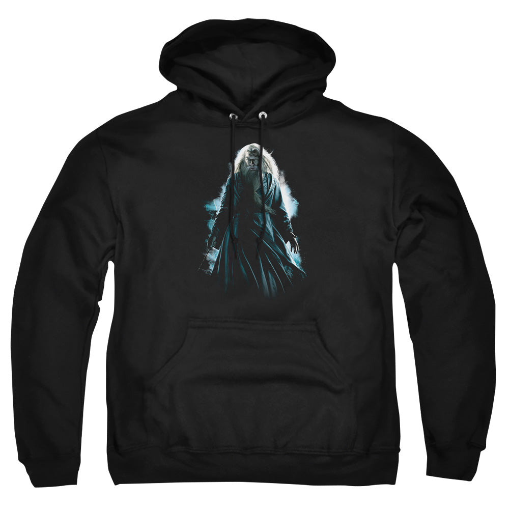 Harry Potter - Dumbledore Burst - Adult Pull-over Hoodie - Black