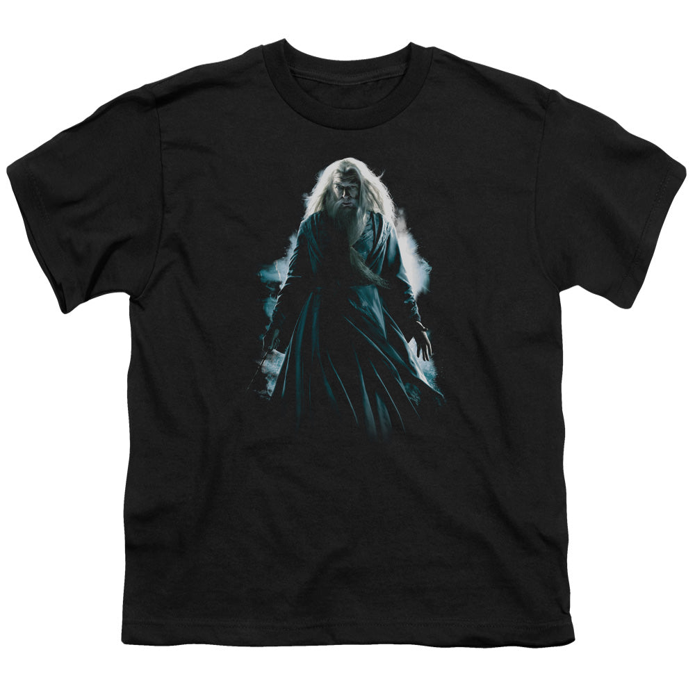 Harry Potter - Dumbledore Burst - Short Sleeve Youth 18/1 - Black T-shirt