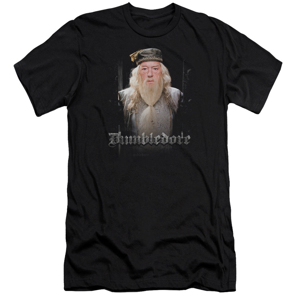 Harry Potter - Dumble Doors-hbo Short Sleeve Adult 30/1 - Black T-shirt