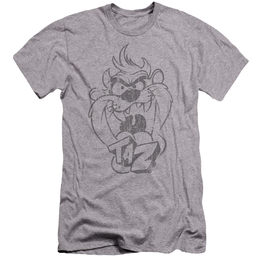 Looney Tunes - Faded Taz-hbo Short Sleeve Adult 30/1 - Athletic Heather T-shirt