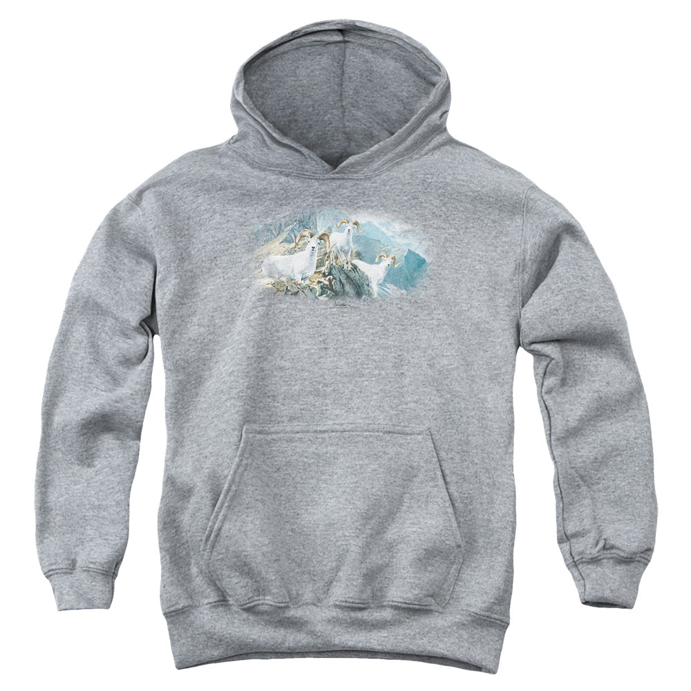 Wildlife - High Trails Dall Sheep - Youth Pull-over Hoodie - Heather